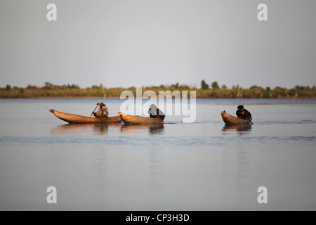 I pescatori Vezo tornando a Belo-Sur-Mer a sunrise dopo la loro cattura giornalieri, paddling loro piroga canoe. Madagascar, Africa Foto Stock