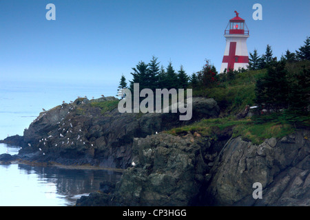 Foto di Capo Faro del porto di mare con i gabbiani e atmosfera di nebbia Foto Stock