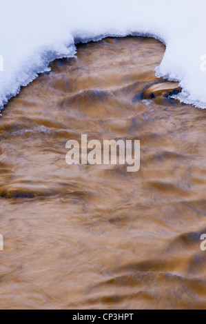 Trail Creek scorre tra coperte di neve banche sulla doppia freccia ranch vicino a Homestead in cabina Seeley Lake, Montana. Foto Stock