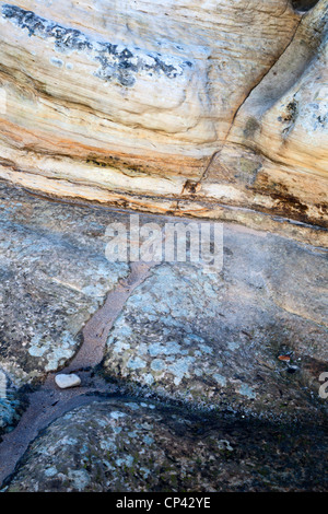 Dettaglio di roccia a Doo Craigs St Andrews Fife Scozia Scotland Foto Stock