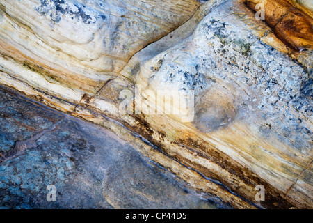 Dettaglio di roccia a Doo Craigs St Andrews Fife Scozia Scotland Foto Stock