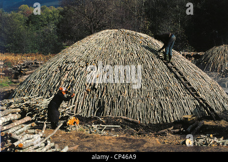 Calabria per la produzione di carbone di legna sul Monte Serra San Bruno Pecoraro Foto Stock