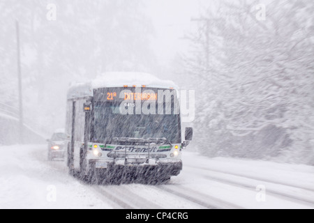 Città bus di transito su strada rurale durante l'inverno blizzard-Victoria, British Columbia, Canada. Foto Stock