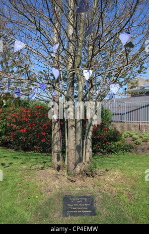 Ricordo tree dove cuore viola i messaggi vengono appesi in memoria di coloro che hanno preso la propria vita in Paisley Renfrewshire Foto Stock