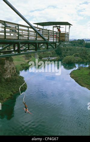 Nuova Zelanda - Taupo. Bungee Jump nel fiume Waikato, bungee jumping Foto Stock