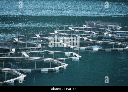 Norvegia Hordaland: Allevamento di salmoni Foto Stock