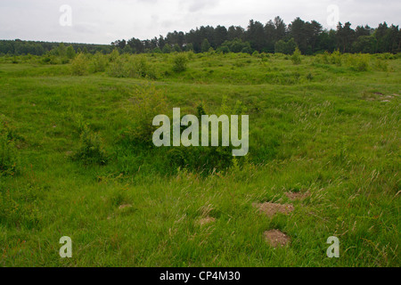 Regno Unito - Inghilterra - Norfolk - sporcizia di tombe. Sito archeologico, neolitico miniere di selce. Foto Stock