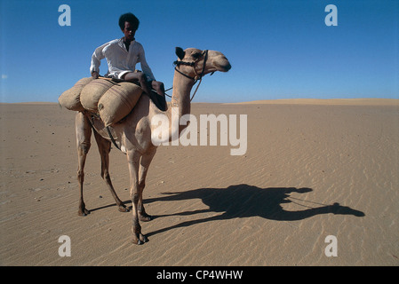 Sudan - Boy a dorso di un cammello. Foto Stock