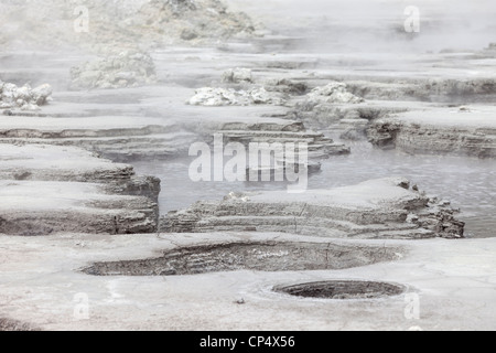 Il gorgogliamento piscine di fango a Hell's Gate area geotermica, Rotorua, Isola del nord, Nuova Zelanda Foto Stock