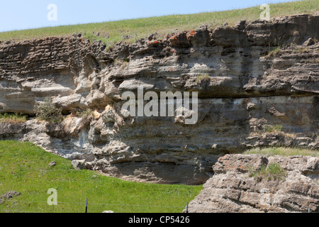 Esposti rocce sedimentarie strati sul fianco di una collina lungo la strada rurale - California USA Foto Stock