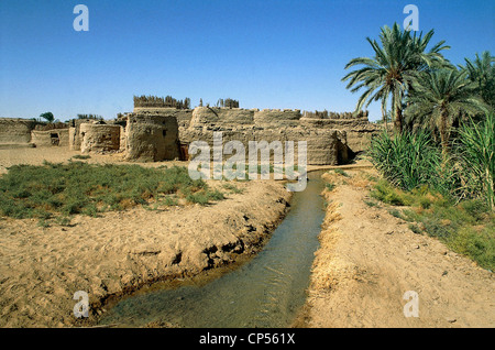 Egitto - Sahara Orientale (Deserto Deserto Libico) - Kharga Oasis. Canale di irrigazione in un villaggio. Foto Stock