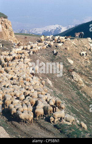 Piemonte - Valle Stura di Demonte (Cn) - Colle della Maddalena (Col de Larche), crudo. Foto Stock