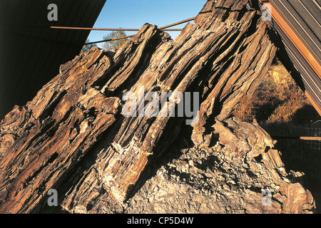 UMBRIA Dunarobba offerte legno fossile Foresta fossile Foto Stock