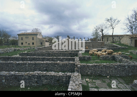 Molise - Sannio - Sepino (Cb) - sito archeologico di Saepinum. Gregge di pecore al pascolo durante la transumanza. Foto Stock