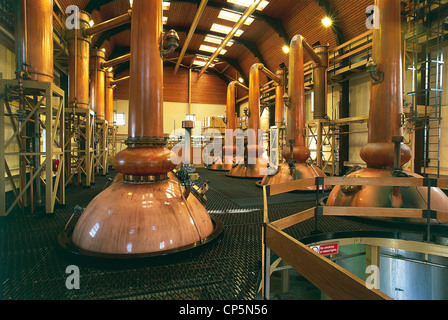 Regno Unito - Scozia - HIGHLAND TAIN. Distilleria Glenmorangie alambicco in camera Foto Stock