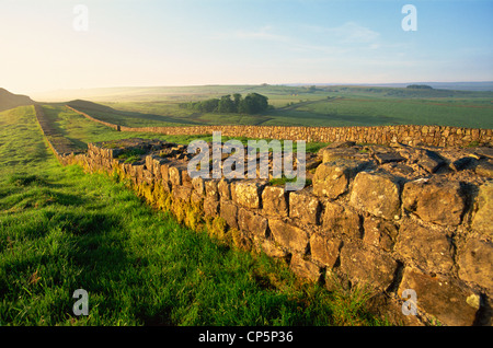 L'Inghilterra,Northumbria,Vallo di Adriano,Viste nei pressi di Housesteads Roman Fort Foto Stock