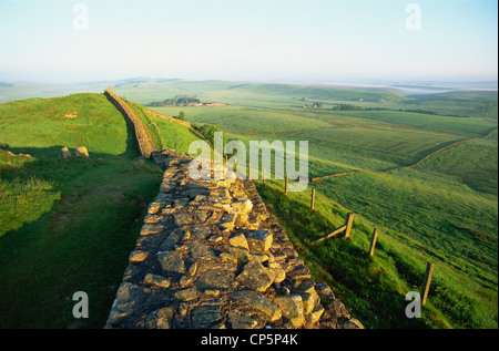 L'Inghilterra,Northumbria,Vallo di Adriano,Viste nei pressi di Housesteads Roman Fort Foto Stock