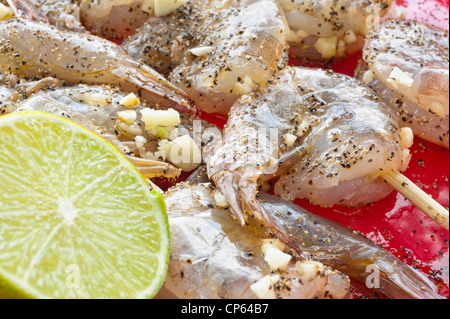 Close up di spiedini di gamberi marinati con calce, aglio e pepe nero Foto Stock