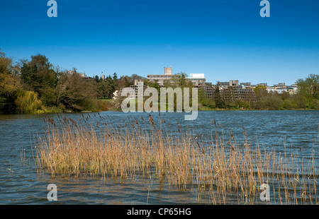 Università di East Anglia, UEA, Norwich, Norfolk, Inghilterra Foto Stock
