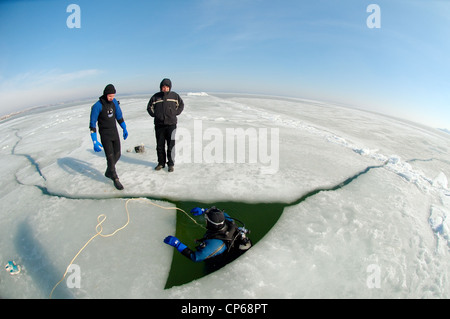 I subacquei, subglacial Diving e Immersioni sotto il ghiaccio, nell'congelati Mar Nero, un raro fenomeno, l'ultima volta si è verificata nel 1977, Odessa, Ucraina Foto Stock