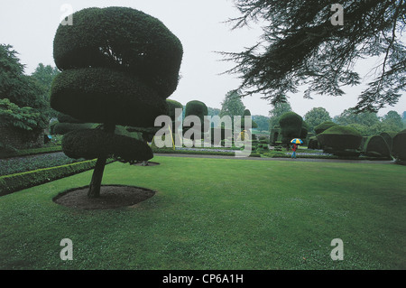 Regno Unito - Lake District - intorno a Kendal. Levens Hall, Topiaria da giardino Foto Stock