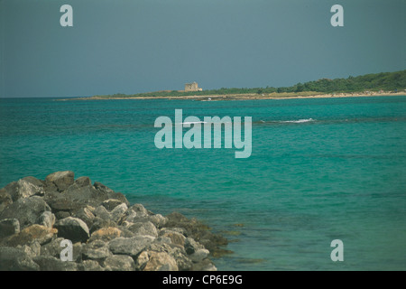 Puglia - Riserva naturale marina di Torre Guaceto (BR). Punta Penna Foto Stock