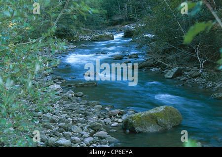 Giappone - Hokkaido. Daisetsuzan National Park, nel fiume Ishikari Gorge Sounkyo Foto Stock