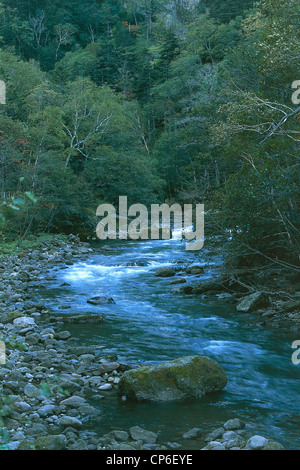 Giappone - Hokkaido. Daisetsuzan National Park, nel fiume Ishikari Gorge Sounkyo Foto Stock