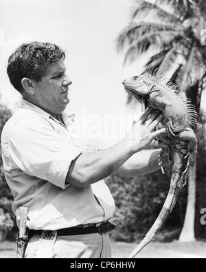 Uomo di mezza età azienda grossa Iguana Foto Stock