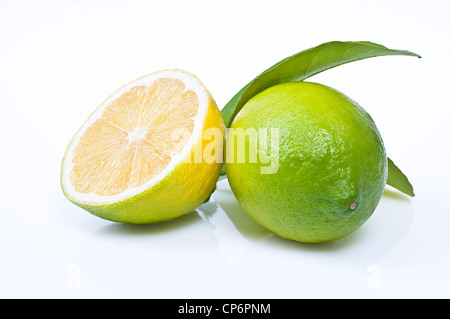 Fresco verde limone con foglie e metà isolato su bianco Foto Stock