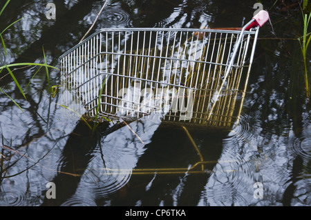 Carrello della spesa il fiume del flusso di acqua di stagno oggetto di dumping Foto Stock