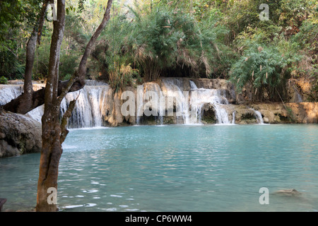 Il Kuang Si cascata multilivello nell'omonimo parco forestale (Luang Prabang - Laos). La Cascade multiniveaux Kuang Si (Laos). Foto Stock