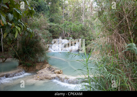 Il Kuang Si cascata multilivello nell'omonimo parco forestale (Luang Prabang - Laos). La Cascade multiniveaux Kuang Si (Laos). Foto Stock