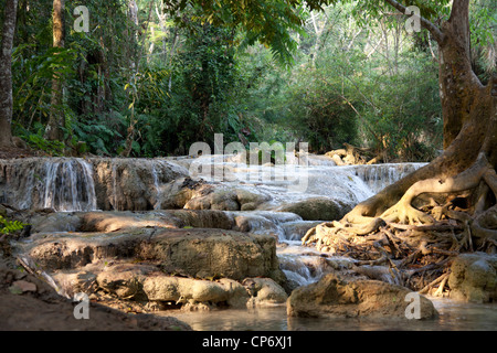 Il Kuang Si cascata multilivello nell'omonimo parco forestale (Luang Prabang - Laos). La Cascade multiniveaux Kuang Si (Laos). Foto Stock