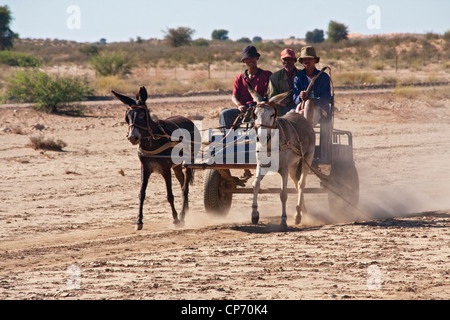 Kalahari locali cavalcando un asino carrello vicino Molopo Foto Stock
