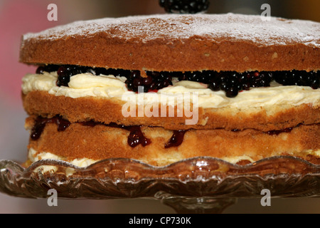 Il tè del pomeriggio - una deliziosa Lemon & Blackberry layer cake Foto Stock