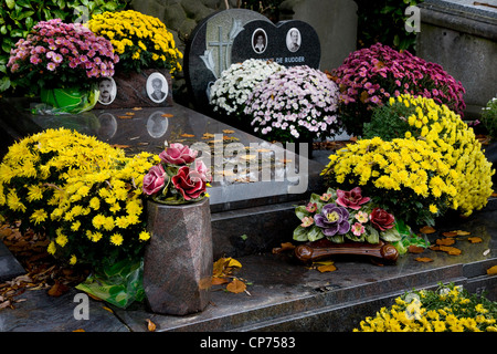 Flowers on graves in autumn at the Campo Santo cemetery in Sint-Amandsberg near Ghent, Belgium Foto Stock
