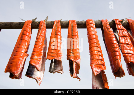 Subsistance catturati Bristol Bay Il Salmone Sockeye essiccazione su un rack, Iliamna, Southwest Alaska, estate Foto Stock