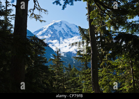 Il lato nord ovest del monte Rainier visto incorniciata dagli alberi, il Parco Nazionale del Monte Rainier, Washington, Stati Uniti d'America. Foto Stock