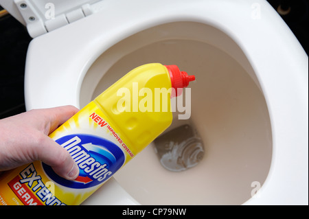 Candeggina domestos essendo utilizzato per pulire un wc England Regno Unito Foto Stock