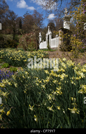 Cholmondeley Castle Gardens. Vista la molla del xviii secolo Il Grade II* elencati Robert Bakewell gates a Cholmondeley Castle. Foto Stock