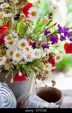 Contenitore con misto bouquet di fiori tra cui Margherite, Argyranthemum frutescens e campo rosso papavero, Papaver rhoeas. Foto Stock