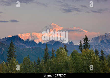 Sunrise alpenglow illumina il Monte McKinley e alci's Tooth, visto dal Veterans Memorial nel Denali State Park, Alaska Foto Stock