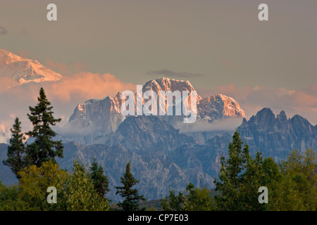 Sunrise alpenglow illumina le alci del dente, come si vede dal Veterans Memorial nel Denali State Park, Alaska, estate Foto Stock