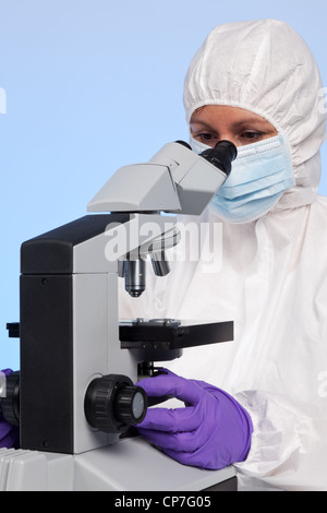 Foto di un biochimico guardando attraverso un ottico stereo microscopio da laboratorio in un provino su un vetrino. Foto Stock