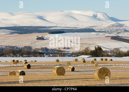 Ben Wyvis in inverno, Ross-shire, Scozia. Foto Stock