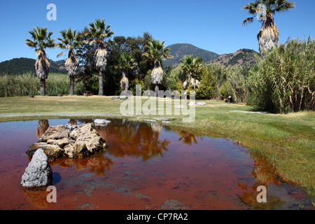 GEYSER OLD FAITHFUL DELLA CALIFORNIA GEYSER 06 Ottobre 2011 Foto Stock