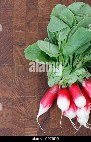 Un mazzetto di ravanelli su una tavola di legno sfondi Foto Stock