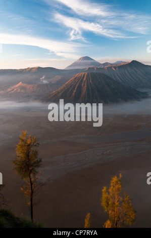 Gunung vulcano Bromo sull isola di Giava in Indonesia Foto Stock