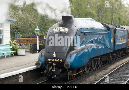 Tarabuso in giarrettiera blu a grosmont station Foto Stock